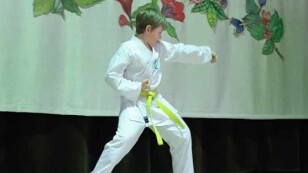 Pokaz karate